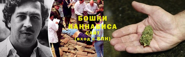 МДПВ Осинники