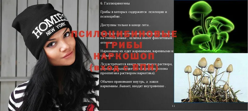 Галлюциногенные грибы MAGIC MUSHROOMS Алдан