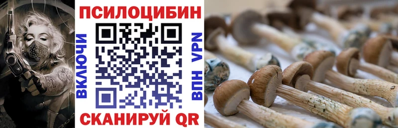 сайты даркнета как зайти  Алдан  Псилоцибиновые грибы Psilocybine cubensis  где купить  